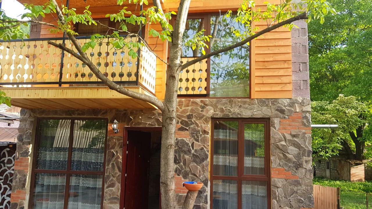 Levani'S Cottage بورجومي المظهر الخارجي الصورة