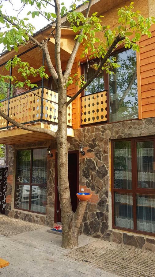 Levani'S Cottage بورجومي المظهر الخارجي الصورة